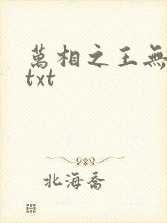 万相之王无删减txt