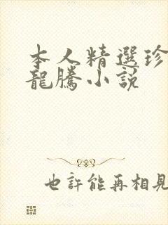 本人精选珍藏 龙腾小说