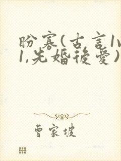 盼寡(古言1v1,先婚后爱)小说免费阅读