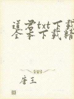 道君txt下载全本下载精校