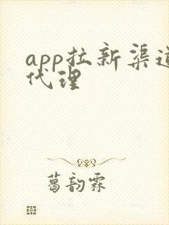 app拉新渠道代理 app拉新渠道代理