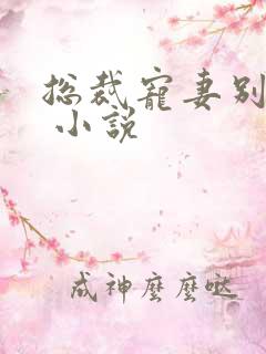 总裁宠妻别太坏 小说