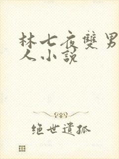 林七夜双男主同人小说