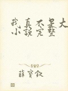 我真不是大佬 小说完整