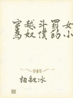 穿越斗罗女人变为奴仆的小说
