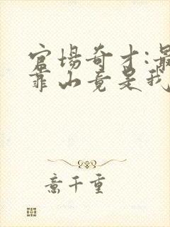 官场奇才:最强靠山竟是我自己李澜全本阅