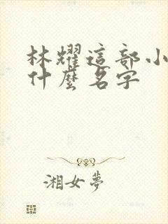 林耀这部小说叫什么名字