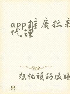 app推广拉新代理 app推广拉新代理