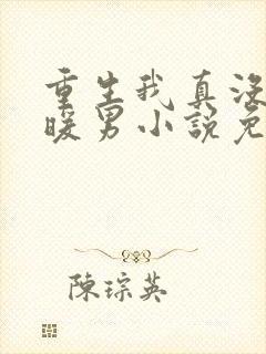 重生我真没想当暖男小说免费阅读全文