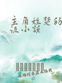 主角姓楚的系统流小说