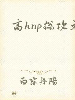高hnp总攻文