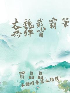 大魏武霸笔趣阁无弹窗