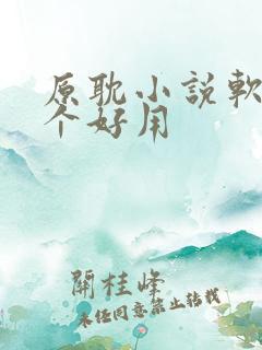 原耽小说软件哪个好用
