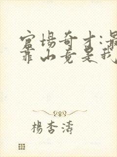 官场奇才:最强靠山竟是我自己李澜小说最