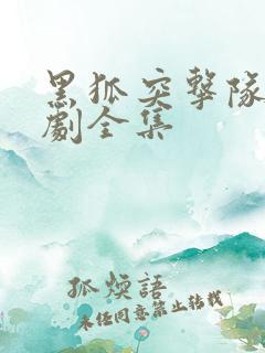 黑狐突击队电视剧全集
