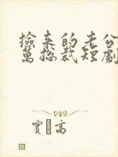 捡来的老公是亿万总裁短剧