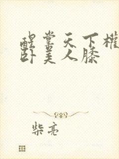 醒掌天下权,醉卧美人膝