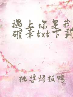 遇上你是我的小确幸txt下载