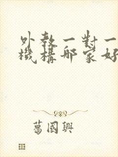 外教一对一培训机构哪家好