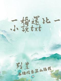 一婚还比一婚高小说txt