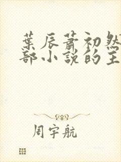 叶辰萧初然是哪部小说的主角 叶辰萧初然是哪部小说的主角