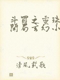 斗罗之灵珠神剑开局玄幻小猪txt