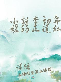 小说李初年童肖媛的正道红途