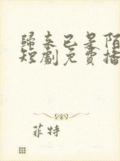 归来已是陌路人短剧免费播放