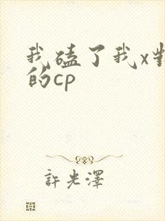 我磕了我x对家的cp 我磕了我x对家的cp
