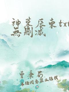 神墓辰东txt无删减