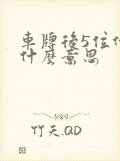 车牌后5位代表什么意思