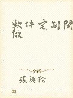 软件定制开发定做