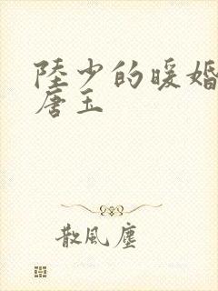 陆少的暖婚新妻唐玉