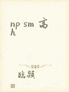 np sm 高h