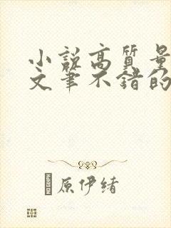 小说高质量言情文笔不错的