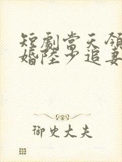 短剧当天领证闪婚陆少追妻忙全集免费观看