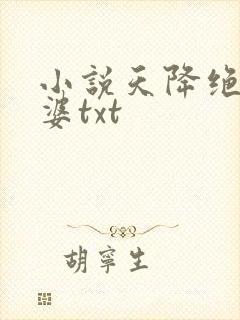 小说天降绝色老婆txt