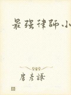 最强律师小说