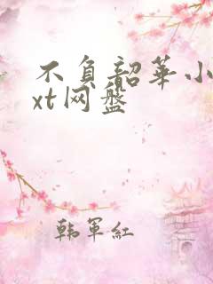 不负韶华小说txt网盘