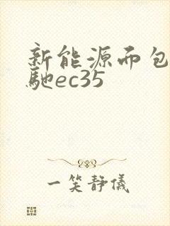 新能源面包车瑞驰ec35