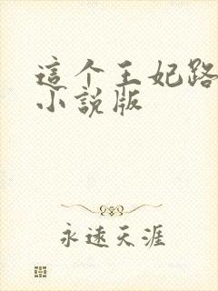 这个王妃路子野小说版