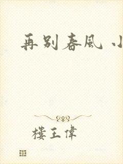 再别春风 小说