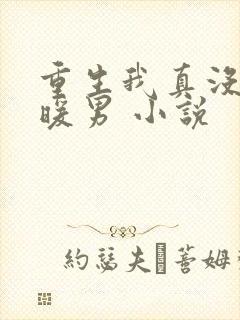 重生我真没想当暖男 小说