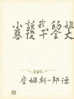 小说我的姐姐是恶役千金大小姐完整版