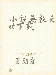 小说无敌天帝txt下载