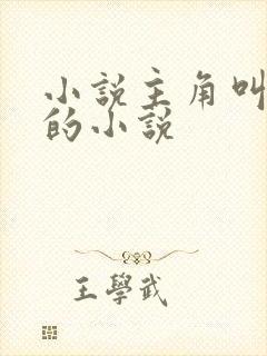 小说主角叫叶空的小说