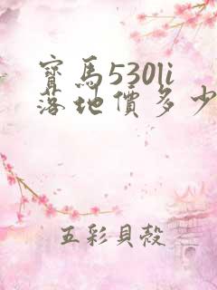 宝马530li落地价多少钱一辆