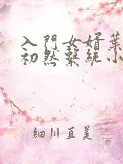 入门女婿叶辰萧初然系统小说