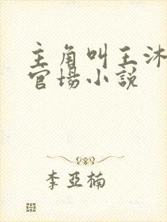 主角叫王沐阳的官场小说