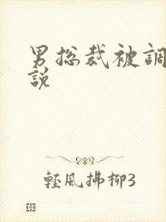 男总裁被调教小说